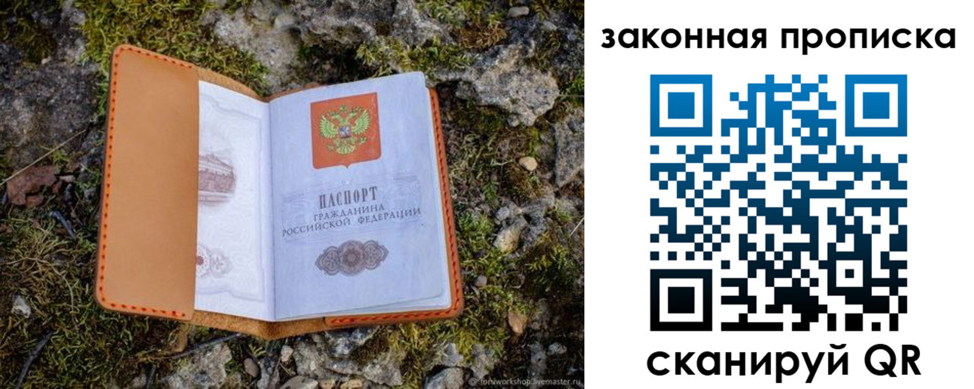 прописка штамп в Тольятти